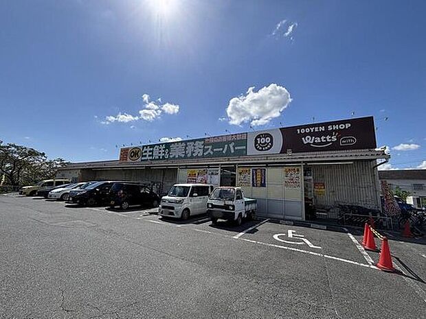 業務スーパー大安寺店(約1,194m)