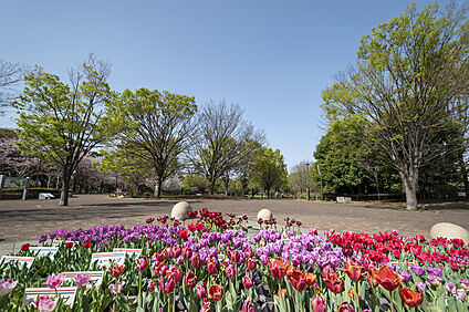 西東京いこいの森公園 2450ｍ(徒歩31分)