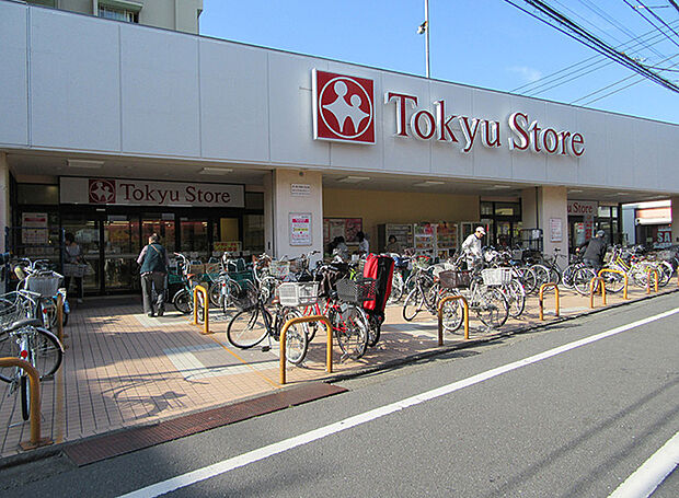 東急ストア東長崎店（約316m）