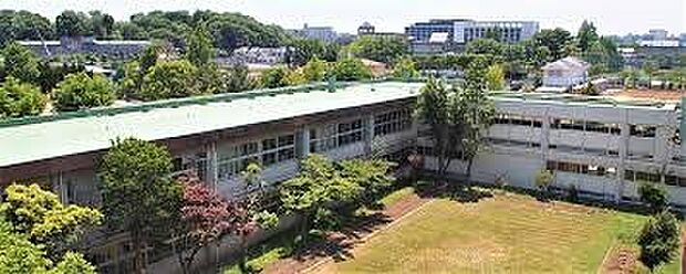 朝霞市立朝霞第二中学校(約370m)