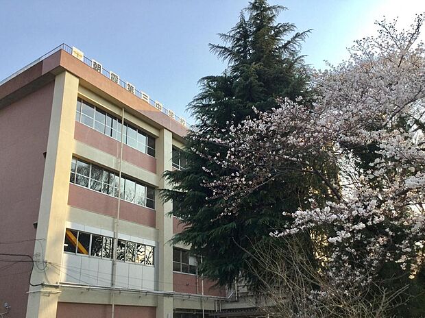 朝霞市立朝霞第三中学校（約1,000m）