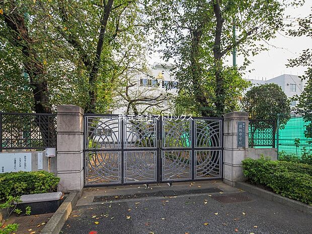 練馬区立田柄中学校(約459m)