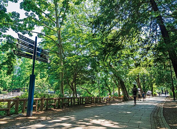 井の頭恩賜公園（約1,500m）