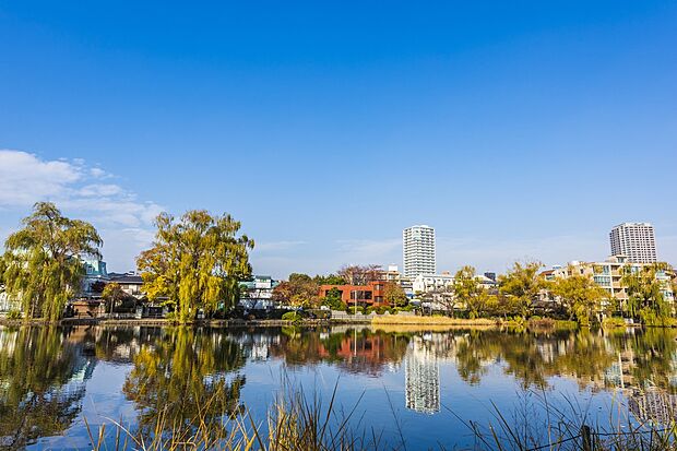 都立石神井公園（約750m）