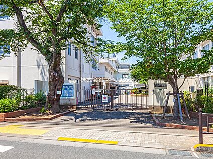 練馬区立中村小学校 793m(徒歩10分)