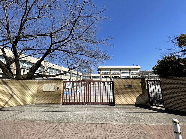 板橋区立下赤塚小学校(約880m)