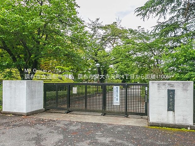 調布市立調布中学校(約1,200m・徒歩15分)
