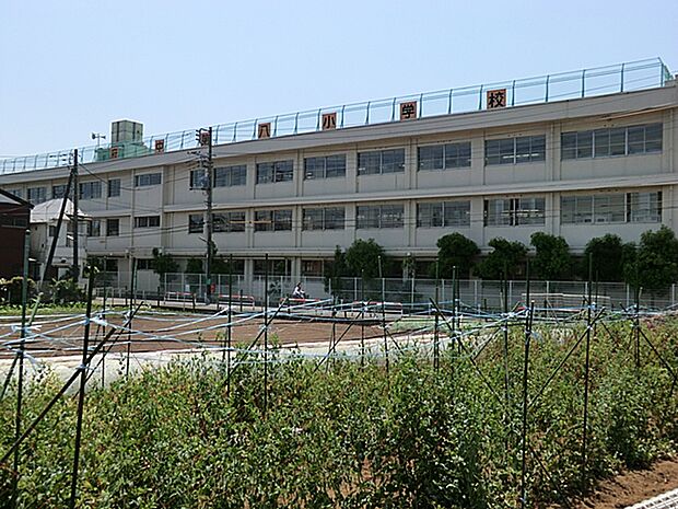 府中市立府中第八小学校(約640m・徒歩8分)