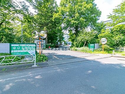 東京天使病院 1000m(13分)