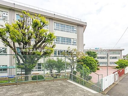 川崎市立長尾小学校 450m(6分)