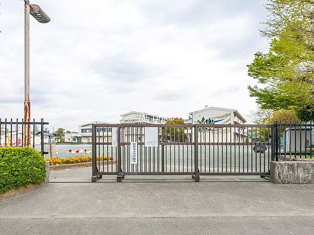 羽村市立羽村西小学校（約600m・徒歩8分）