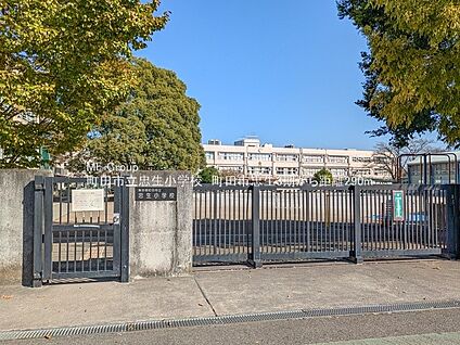 町田市立忠生小学校 290m(4分)