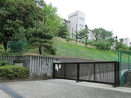 八王子市立松が谷中学校 1920m(24分)