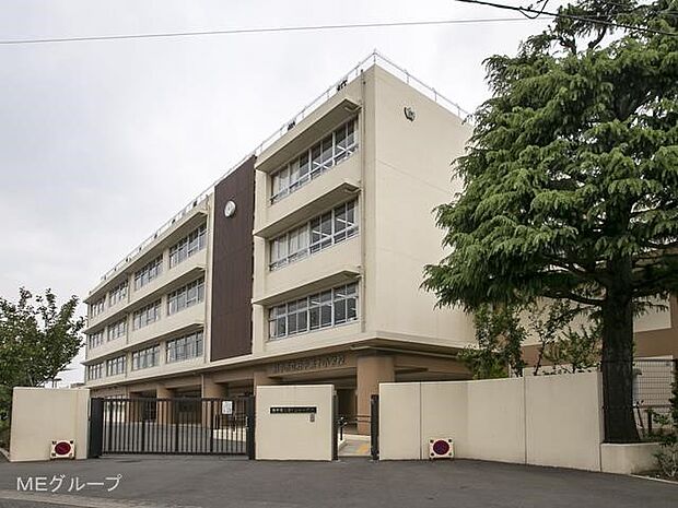 府中市立府中第十小学校(約918m・徒歩12分)