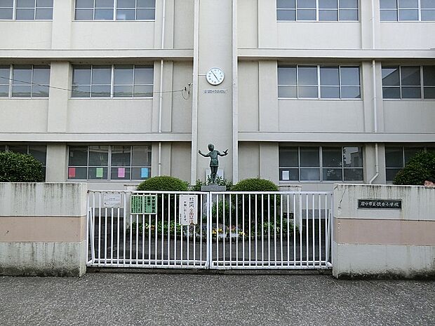 府中市立住吉小学校(約400m・徒歩5分)