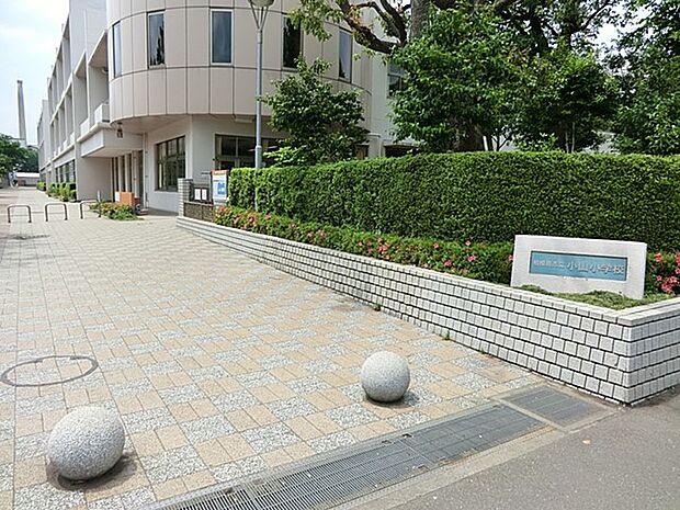 町田市立小山小学校（約900m・徒歩12分）