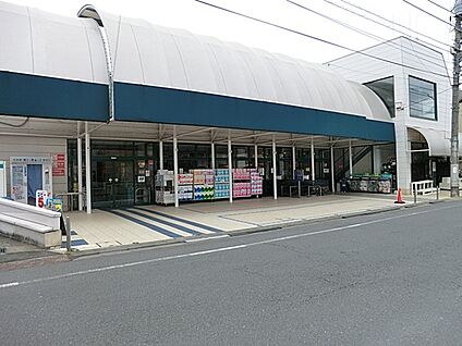 マルフジ東中神店 300m(4分)