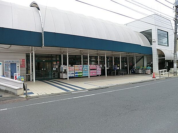 マルフジ東中神店(約300m・徒歩4分)