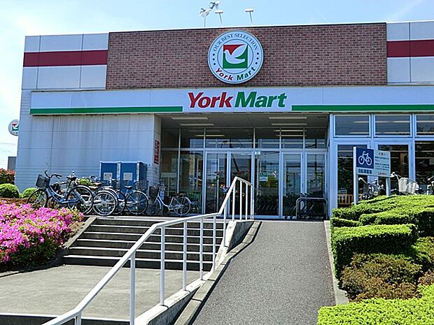 ヨークマート 伊勢原成瀬店(約800m・徒歩10分)