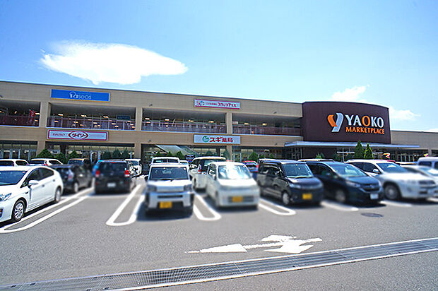 ロピア渋沢店（約1,200m・徒歩15分）