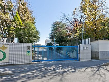 川崎市立南生田小学校 900m(12分)