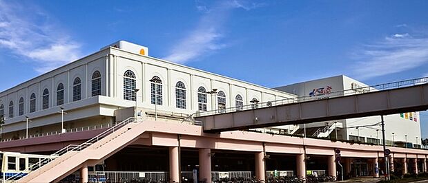 宮交シティ(約13,003m)