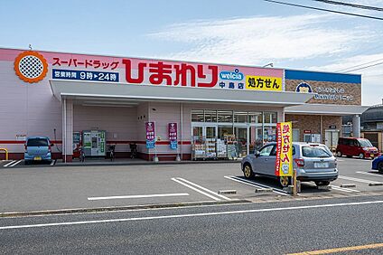 スーパードラッグひまわり中島店 1200m