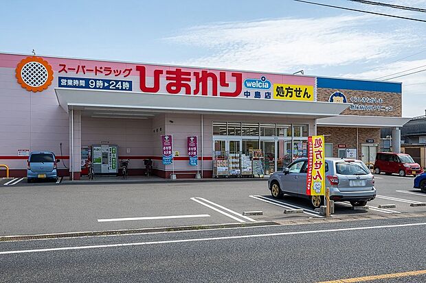 スーパードラッグひまわり中島店(約1,200m)