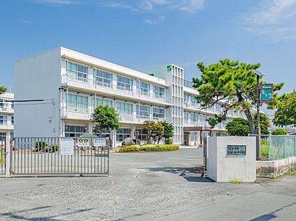 富士市立田子浦小学校 800m