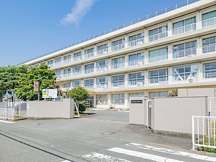 富士市立田子浦中学校 900m