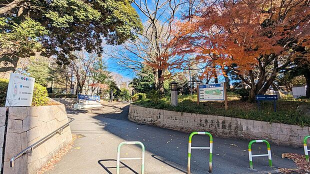 飛鳥山公園(約600m)