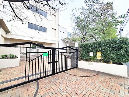 杉並区立東田中学校 986ｍ