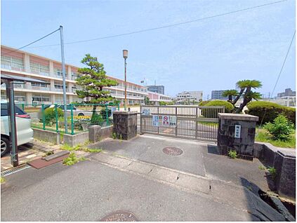 弥富市立桜小学校 650m(徒歩9分)