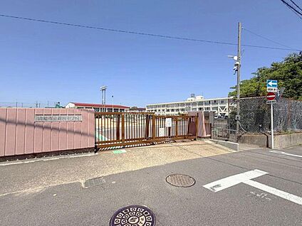 清須市立新川中学校 1200m(徒歩15分)