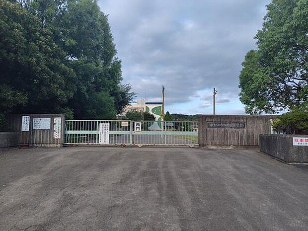 東松山市立新宿小学校(約250m)