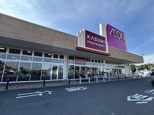カスミイオンタウン上里店(約1,300m)