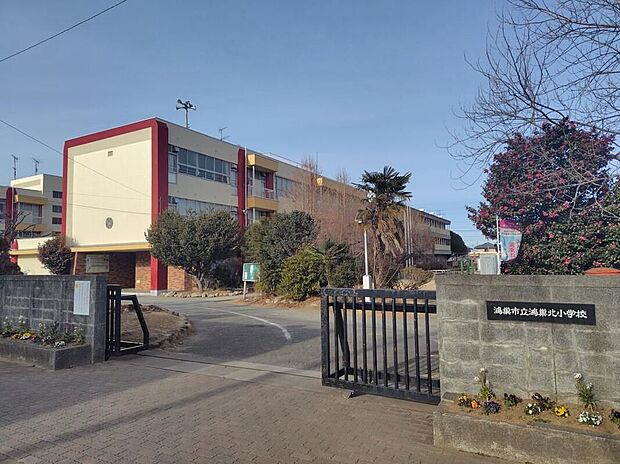 鴻巣市立鴻巣北小学校(約850m)
