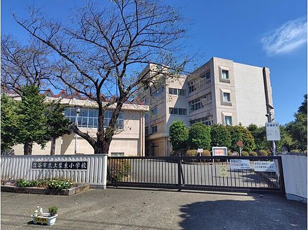 深谷市立上柴東小学校（約1,600m）