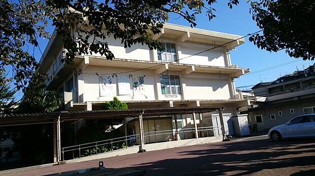 横浜市立白幡小学校（約400m）