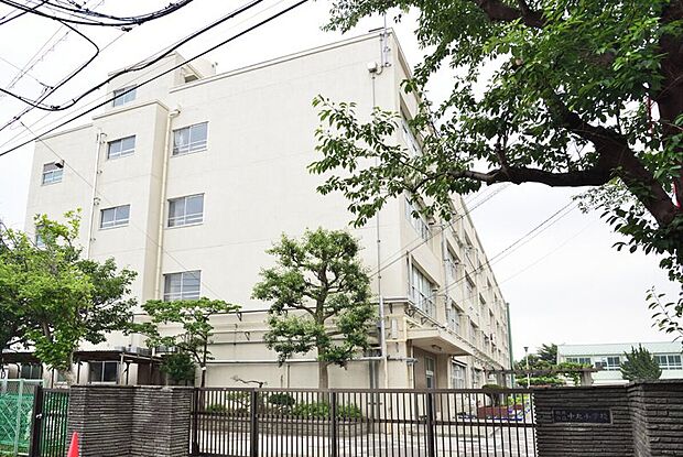 横浜市立中丸小学校（約150m）