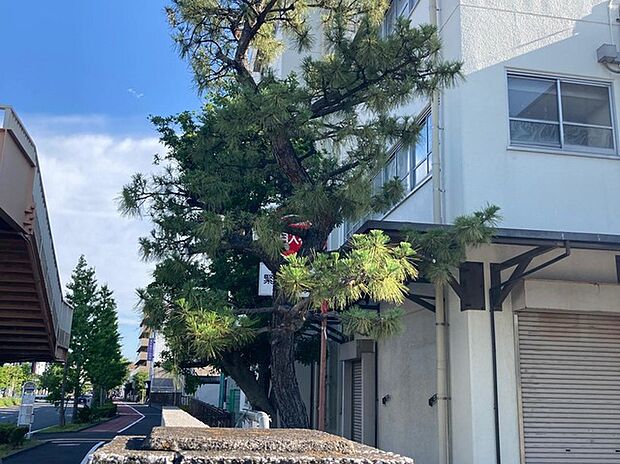 横浜市立汐入小学校(約300m)