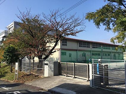 川崎市立白鳥中学校 1700ｍ