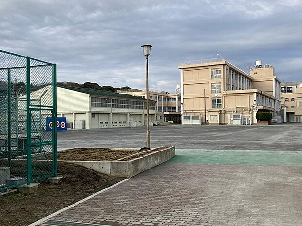 横浜市立三ツ沢小学校(約450m)