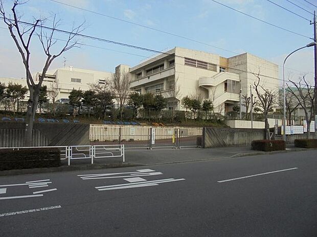 横浜市立鴨志田緑小学校（約350m）