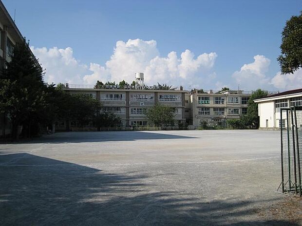 川崎市立玉川小学校（約500m）