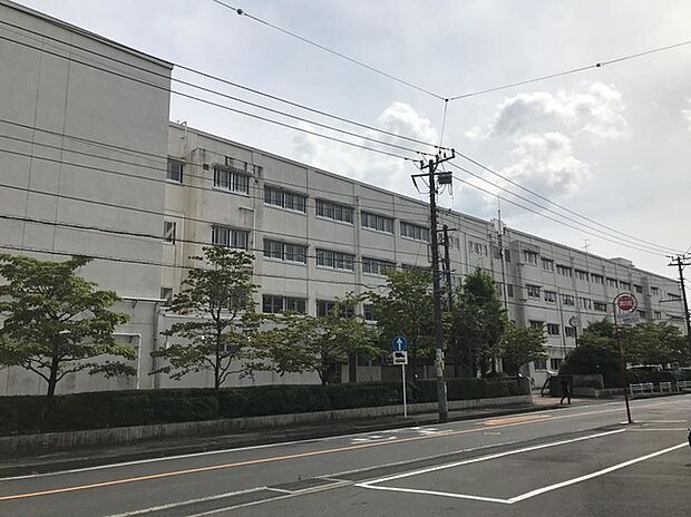 横浜市立新田中学校（約900m）