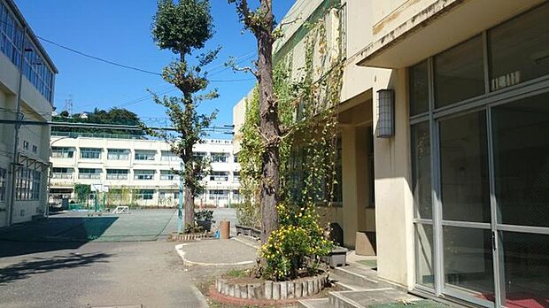 横浜市立星川小学校（約500m）