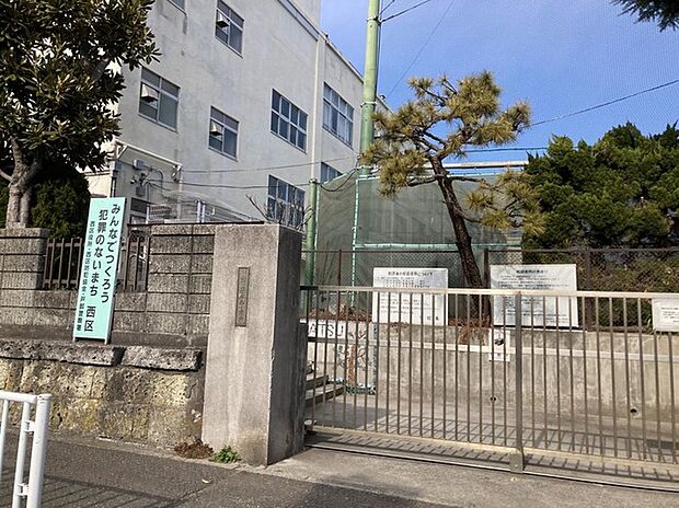 横浜市立一本松小学校（約240m）