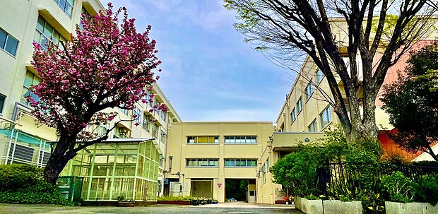 横浜市立馬場小学校（約350m）