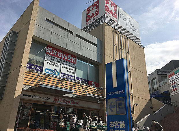 東急ストア藤が丘店（約790m）